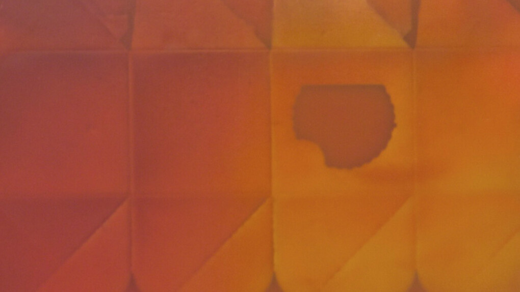 Joanne Ungar. Courteys of 