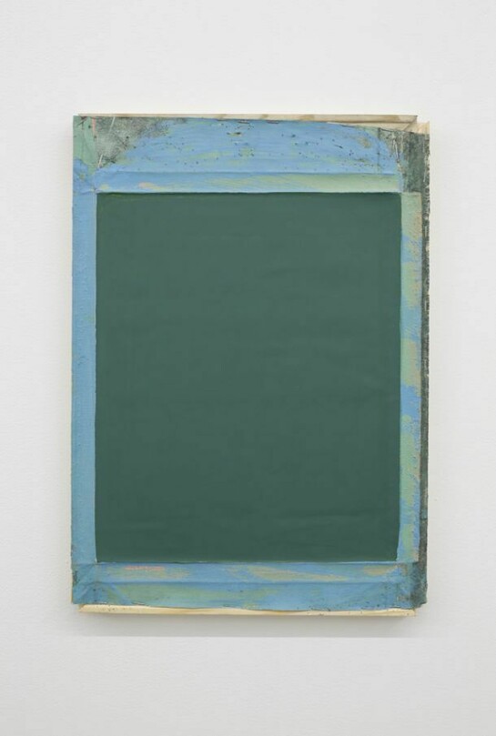 Julia Rommel, Sockeye Salmon, 2013, Oil on linen, 17.5 x 12.5 inches