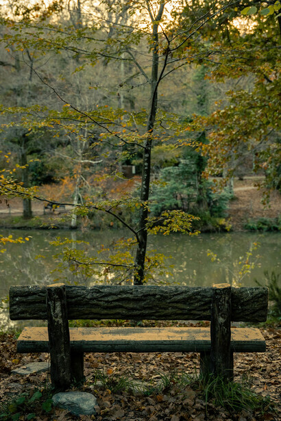 Lo decidirá mañana, después de tomar su café en el jardín. Su mesa está cerca de la de Mateo, y aunque no se conocen, ella sabe más de él sin que él lo sepa