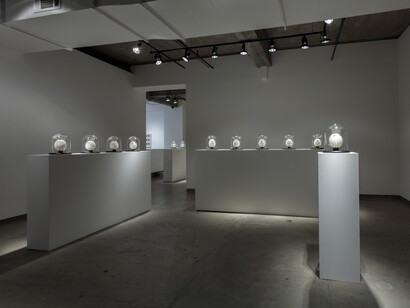 Ricco Maresca Gallery