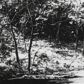 Todd Carpenter. Courtesy of KP Projects