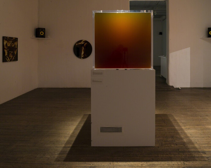 Monumental, Exhibition view. Courtesy of Ronald Feldman Fine Arts