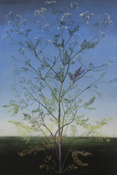 Michael Canning. Courtesy of Waterhouse & Dodd