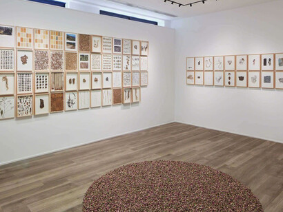 Herman De Vries, Exhibition view. Courtesy of Cortesi Gallery