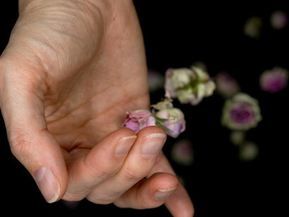 Rose petals thrown, a moment where letting go turns into freedom 
