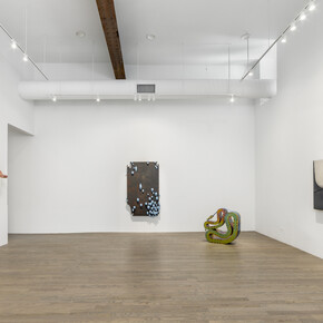 Lucas Simões, Luscofusco, 2023, installation view. Courtesy of the artist and Patron Gallery, Chicago
