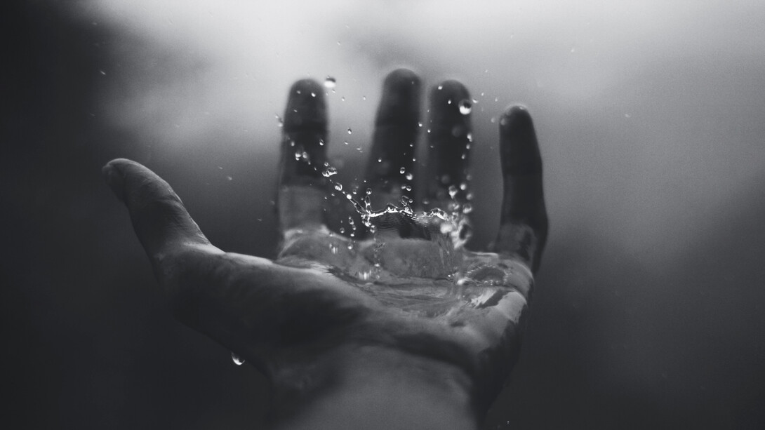 Vida líquida: las instituciones que creaban certidumbre (familia, Estado, sociedad, etc.) se han desvanecido, transformando las relaciones sociales en algo frágil