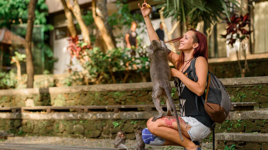 The monkey and the female human enjoying a peaceful and happy life in society 