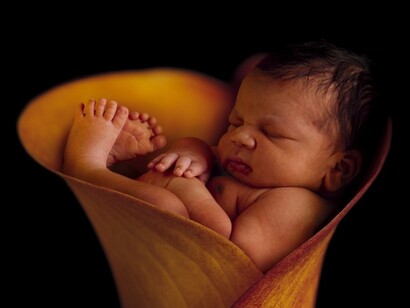 Bebé durmiente, photo by Anne Geddes