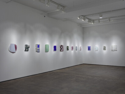 Sam Moyer. Courtesy of Sean Kelly Gallery