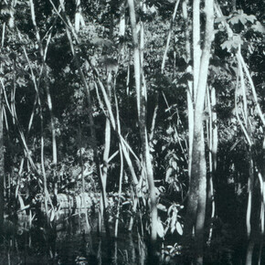 Luzia Simons. Courtesy of Circle Culture Gallery