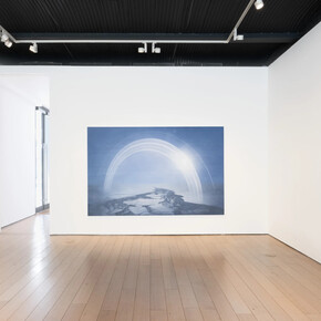 Theodora Allen, Oak, exhibition view. Courtesy of Paul Kasmin Gallery