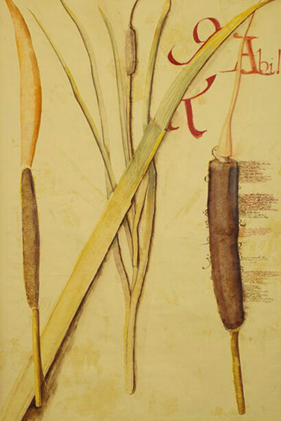 Mariella Busi De Logu, Ildegarda di Binghen