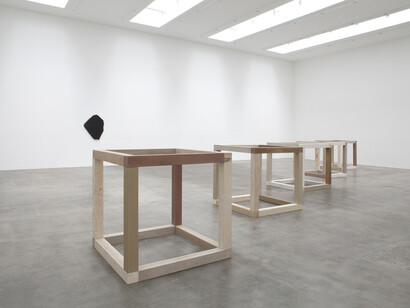Anya Gallaccio, Installation view, 2014, Blum & Poe, Los Angeles. Courtesy of the artist and Blum & Poe, Los Angeles