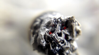 El uso de drogas y estimulantes es tan antiguo como la propia humanidad