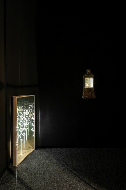 Péter Tamás Halász, planƎt, exhibition view. Courtesy of acb Gallery