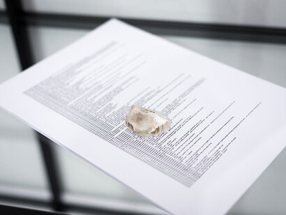 Yuri Pattison, colocation, time displacement, 2014, Minibar Stockholm, Sweden, courtesy the artist