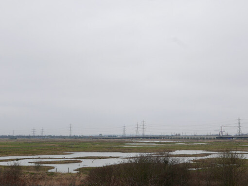 Natural Habitat. Courtesy of Wellcome Collection 