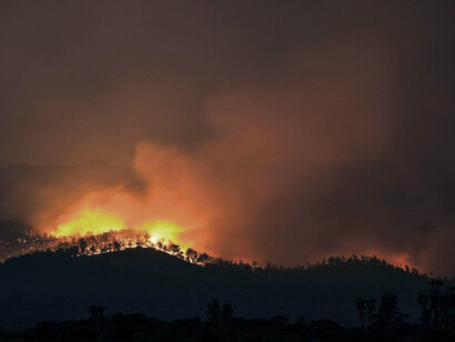 Wildfires destroy ecosystems