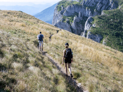 Los beneficios de caminar son tantos, que es como si estuviéramos diseñados para caminar