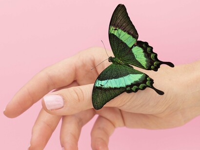 A delicate green butterfly resting on a hand symbolizes the profound beauty and inherent resilience of life that persists and unfolds in its cyclical splendor, even amidst the world's chaos