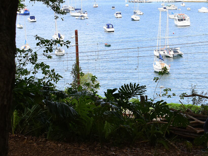 Creado en los últimos 20 años por la artista Wendy Whiteley, esposa y musa del artista australiano Brett Whiteley, este Jardín Secreto se encuentra detrás de Luna Park, en Lavender Bay. El jardín secreto de Wendy Whiteley, Sídney, Australia