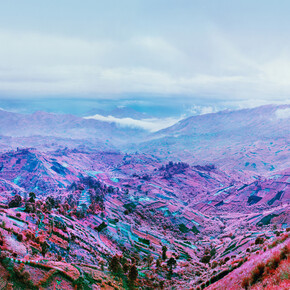 Richard Mosse, Because the Night, 2012, c-print, courtesy the artist and carlier | gebauer