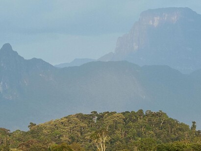 Marahuaka (el árbol de la vida de los Ye’kuana) al fondo; Pico Fhawi-ewihti a la derecha. Vista desde la Sabana de Culebra (Mawadi-anehidiña). Foto: Javier Mesa