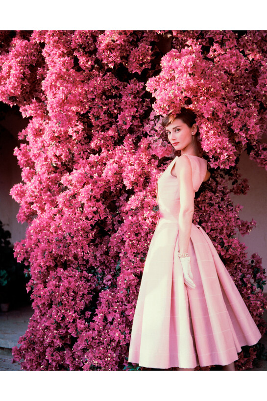 Audrey Hepburn and Bougainvillea, 1955, © Norman Parkinson Ltd / Courtesy Norman Parkinson Archive