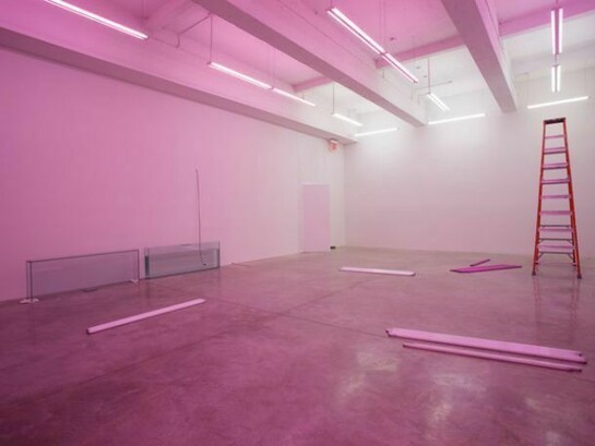 Exhibition view, We are the meeting. Photo: Jean Vong. Courtesy the artist and Casey Kaplan, New York