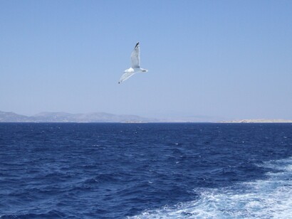 Il Mediterraneo non è soltanto un confine geografico, ma un patrimonio storico condiviso e uno spazio di cooperazione attraverso cui valorizzare le specificità del Mezzogiorno e costruire nuove prospettive di sviluppo