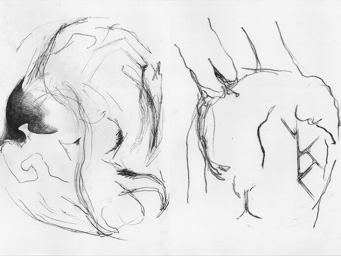 Alis/Filliol, disegni