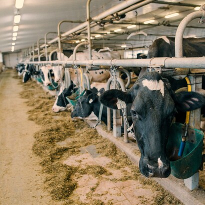 La gestione dei liquami e dei rifiuti prodotti negli allevamenti contribuisce in modo significativo alla produzione di metano, specialmente quando la decomposizione avviene in assenza di ossigeno