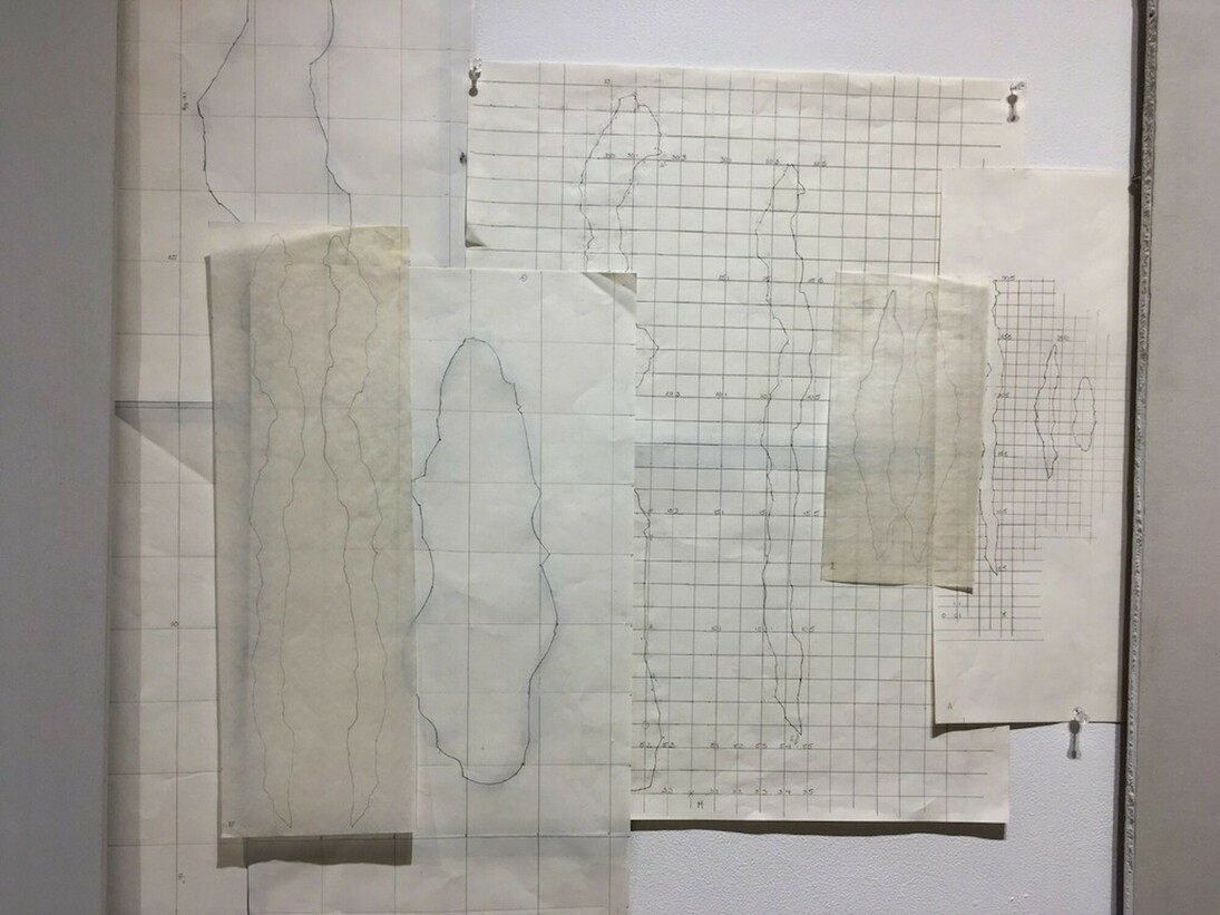 On the Wall, Exhibition view. Courtesy of Carter Burden Gallery