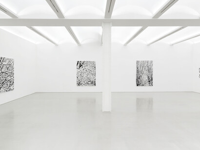 View of the exhibition Farhad Moshiri “Snow Forest” at Perrotin, New York, 2017. Photo: Guillaume Ziccarelli. Courtesy Perrotin