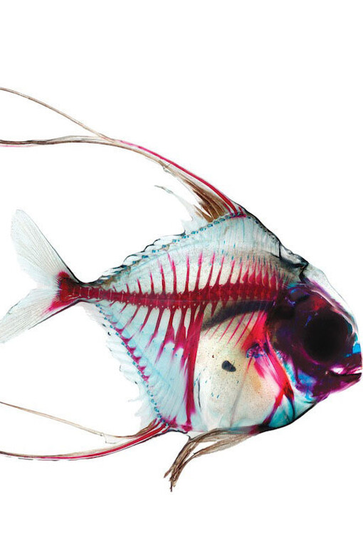 No Man's Land. Courtesy of Mudam Luxembourg