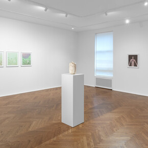 Sanya Kantarovsky, Scarecrow, exhibition view. Courtesy of Michael Werner Gallery