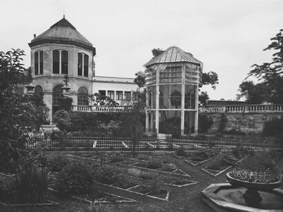 La serra contenente la Palma di Goethe all'Orto botanico di Padova, nel 1895