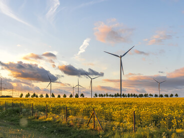 Turbines generate electricity onshore and offshore; very effective in windy regions