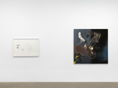 Seth Price, Free fall, exhibition view. Courtesy of Galerie Chantal Crousel