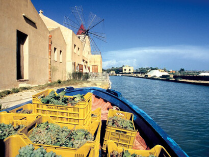Grillo grapes transport from Mozia, (TP)