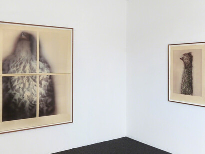 Ann Hamilton, Exhibition view. Courtesy of Gemini G.E.L.