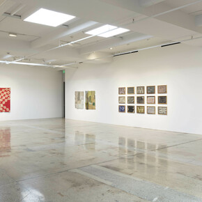 Aryana Minai. The Dirt That Binds Me, installation view. Courtesy of Steve Turner