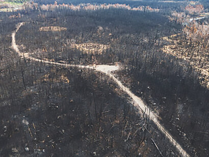 The profound impact of nature wildfires with a captivating aerial view showcasing wildfire damage, underscoring the pressing issues of climate change and the broader climate crisis, urging heightened environmental awareness and proactive measures