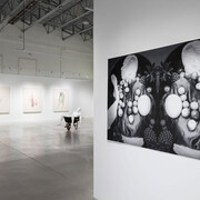 Stanley Février, Terre des fissures, exhibition view. Courtesy of Blouin Division