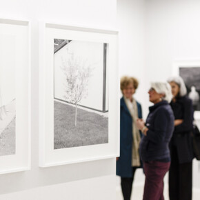 Terre in movimento. Courtesy of Maxxi