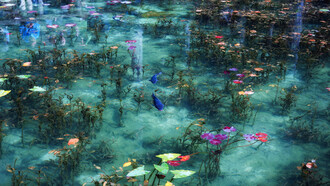 Stagno giapponese ispirato a un quadro di Monet. Ph Hidenobu Suzuki