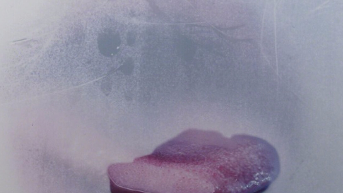 Spray On, Exhibition view. Courtesy of Carolina Nitsch