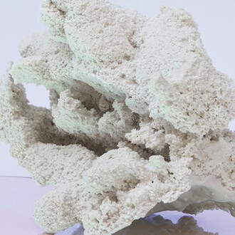 A futura memoria 2, jesmonite, 15x21x12 cm. Courtesy: l'artista e Alberto Peola, Torino.