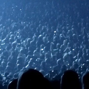 Clément Cogitore. Courtesy of Kunsthaus Baselland